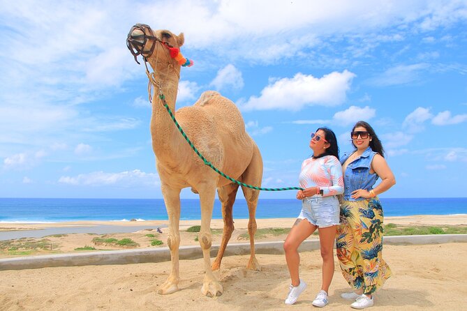 Beach CAN-AM SXS X3 & Camel Ride in Cabo by Cactus Tours Park - Tasting, Dining, and Relaxation