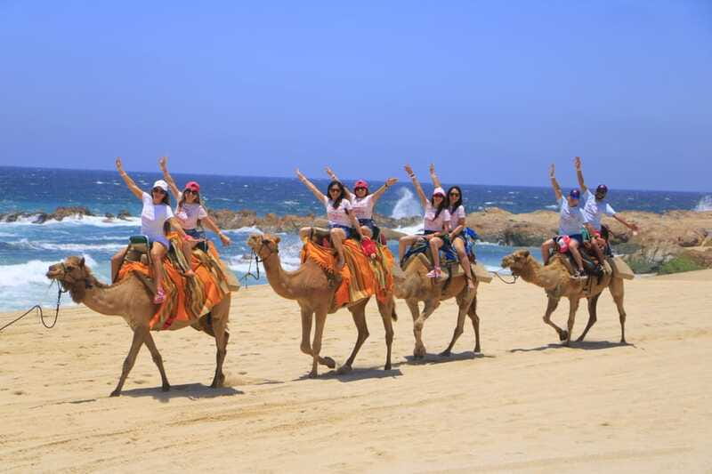Beach CAN-AM SXS X3 & Camel Ride in Cabo by Cactus Tours - Enjoying the Super BURRO and Refreshing Waters