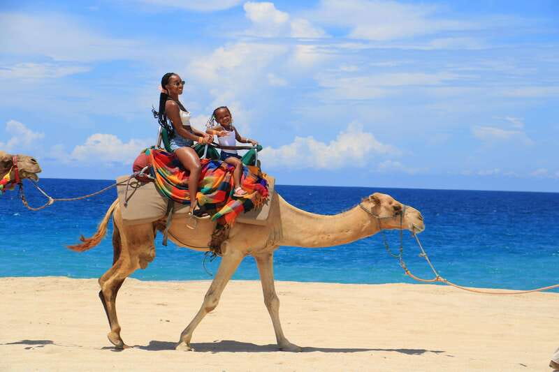 Beach CAN-AM SXS X3 & Camel Ride in Cabo by Cactus Tours - What’s Included and What’s Not