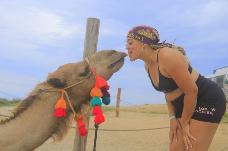 Beach CAN-AM SXS X3 & Camel Ride in Cabo by Cactus Tours - Comparing This Tour to Other Cabo Experiences