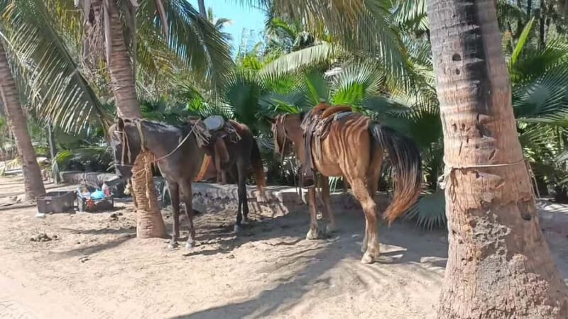 Beach Club All Inclusive: Horse Ride Water Sports Food Drink - Choosing Your Activities: Horseback Riding, Banana Boat, or Boogie Boards