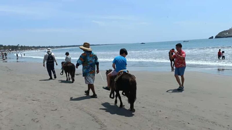 Beach Club All Inclusive: Horse Ride Water Sports Food Drink - Indulge in a Tasty Lunch with Unlimited Drinks