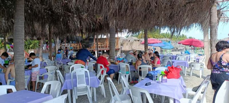 Beach Club All Inclusive: Horse Ride Water Sports Food Drink - Accessibility and Practical Tips for the Tour