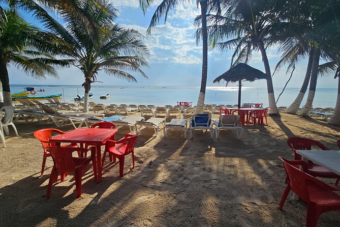 Beach club restaurant kraken - Key Points