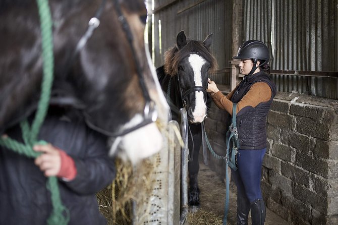Beach & countryside horse riding outside Westport. Guided. 1 hour - The Horses and Guides at Carrowholly Stables