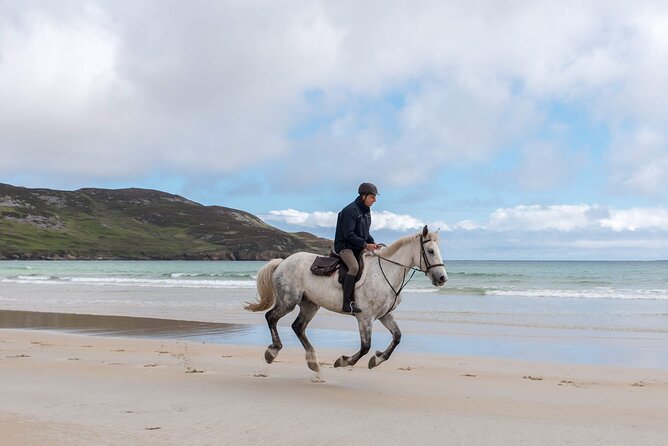 Beach & countryside horse riding outside Westport. Guided. 1 hour - What to Expect During the One-Hour Horseback Ride