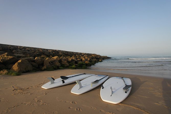 Beach Day with lunch. - Comfort and Convenience with Private Transportation