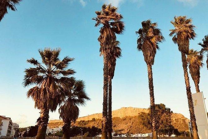 Beach Day with lunch. - Visiting the Iconic 25 de Abril Bridge