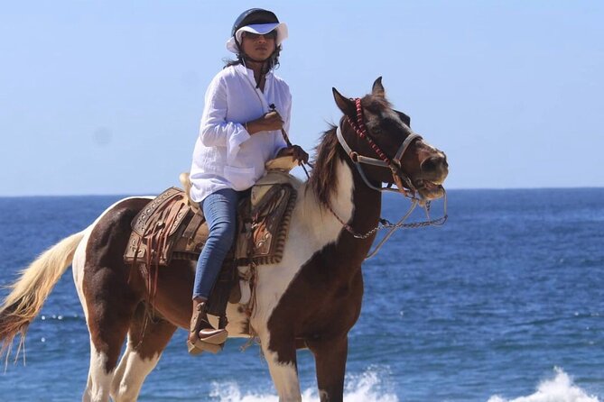 Beach & Desert Horseback Tour - Discover the Sunset Horseback Ride in Cabo San Lucas for $99