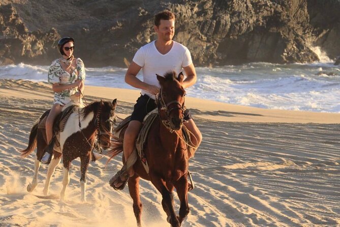 Beach & Desert Horseback Tour - Comparing This Tour to Similar Experiences
