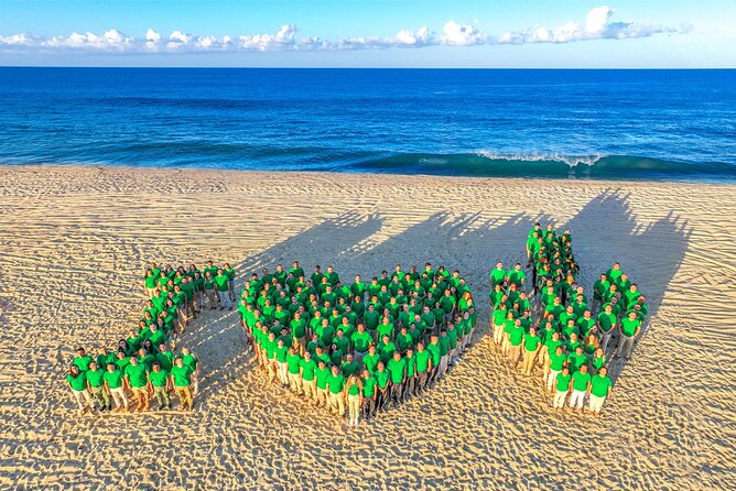 Beach & Desert Premium X3 UTV Tour in Cabo by Cactus Tours Park - Logistics and Convenience