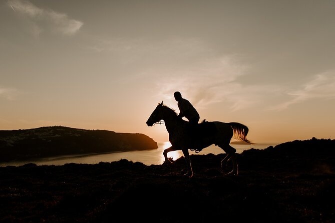 Beach gallop - horse riding Safari for experienced riders - The Horses and Equipment: Reliable and Well-Maintained