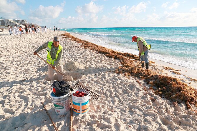 Beach Guardians Clean up & Picnic plus Otoch Mayan Experience - Starting Point and Duration of the Cozumel Tour