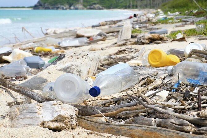 Beach Guardians Clean up & Picnic plus Otoch Mayan Experience - Visiting San Martin Virgin Beach for a Picnic