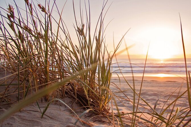 Beach Guardians Clean up & Picnic plus Otoch Mayan Experience - The Cultural Experience at Parque Maya Otoch