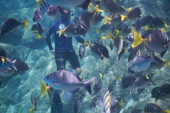 Beach Hopper, Amazing Snorkel Experience At Los Cabos! - The Experiences Pacing and Group Size