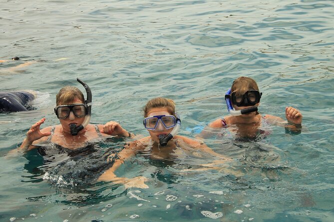 Beach Hopper, Amazing Snorkel Experience At Los Cabos! - Unique Features That Set This Tour Apart