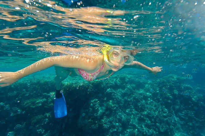 Beach Hopper Small-Group Snorkeling Tour in Los Cabos - Cabo San Lucas Snorkeling at Chileno Bay and Santa Maria Bay