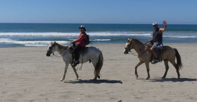 .Beach Horse Riding Turtle Release Crocodile Farm Experience - Horseback Riding along the Deserted Beaches of Acapulco