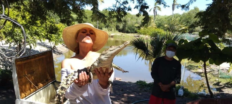 .Beach Horse Riding Turtle Release Crocodile Farm Experience - Visiting the Crocodile Farm to Learn About These Creatures