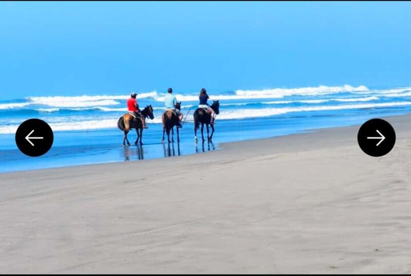 .Beach Horse Riding Turtle Release Crocodile Farm Experience - Practical Details: Transportation, Group Size, and Booking