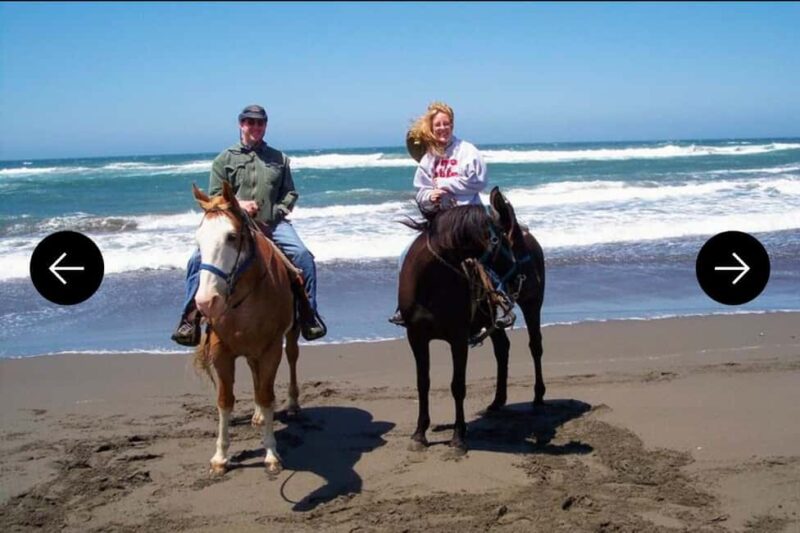 .Beach Horse Riding Turtle Release Crocodile Farm Experience - Strengths and Considerations