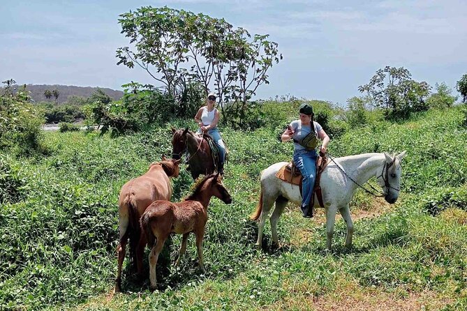 Beach Horseback Riding Adventure in Copalita, Huatulco - Booking, Weather, and Cancellation Policies