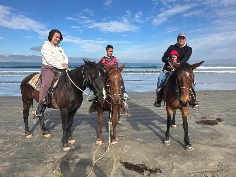Beach Horseback Riding from the Port of Ensenada - Scenic Coastal Horseback Ride on Majestic Horses