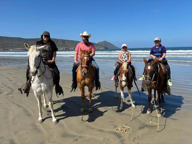 Beach Horseback Riding from the Port of Ensenada - Summary of What Makes This Tour Special