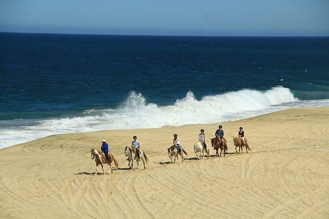 Beach Horseback Riding in Los Cabos - The Scenic Pacific Coast Beach Ride