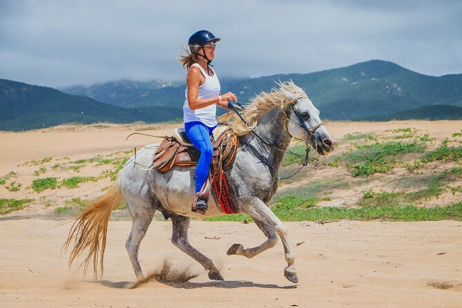 Beach Horseback Riding in Los Cabos - The Sum Up: Enjoy a Calm Ride with Stunning Ocean Views in Los Cabos