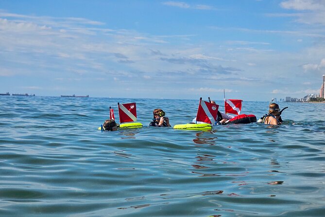 Beach Snorkeling Adventure in Lauderdale by the Sea - Marine Encounters You Can Expect to See