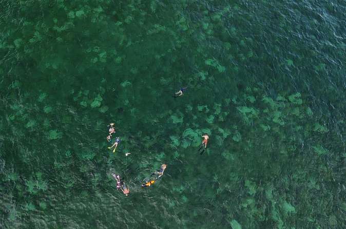 Beach Snorkeling Adventure in Lauderdale by the Sea - Physical Requirements and Accessibility