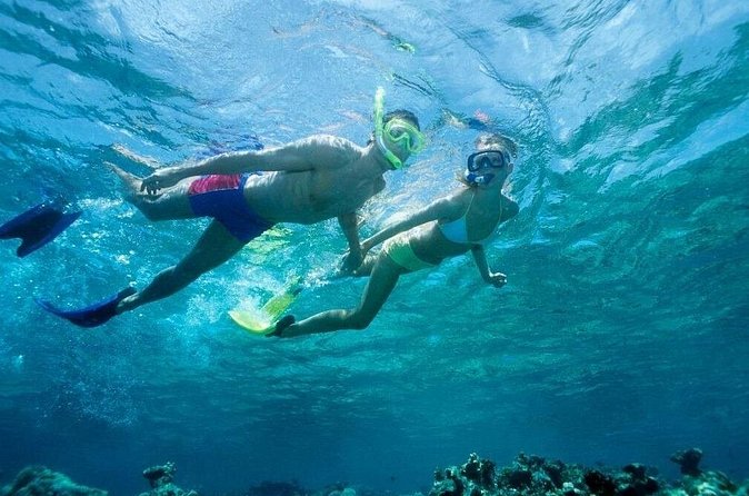 Beach Snorkeling Adventure in Lauderdale by the Sea - The Importance of Booking in Advance