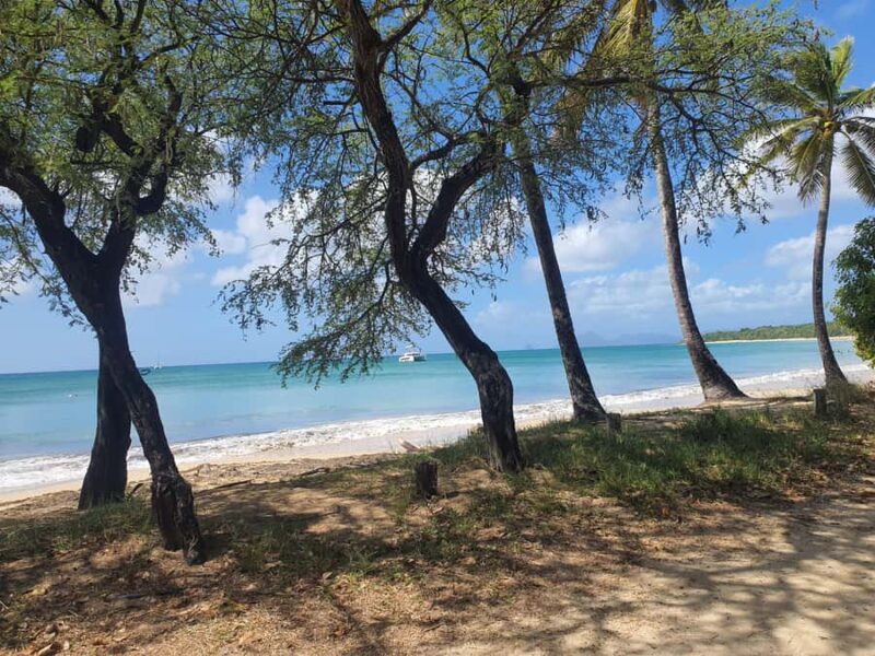 Beach tour and visit to a rum distillery in Le Marin with driver - Starting from Le Port with Personalized Pickup
