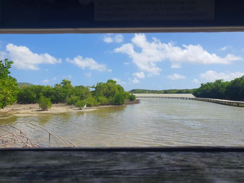 Beach tour and visit to a rum distillery in Le Marin with driver - Exploring the Braud & Quenesson Rum Distilleries: A Taste of Martinique Heritage