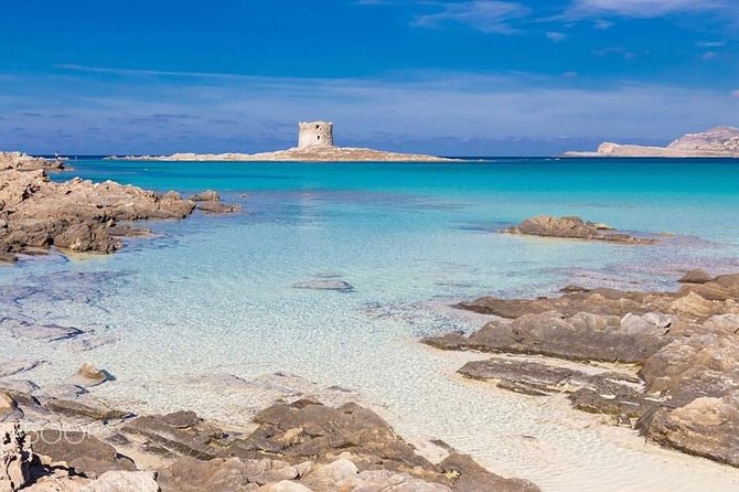 Beach tour - Chia - The Guide and Customer Service Experience