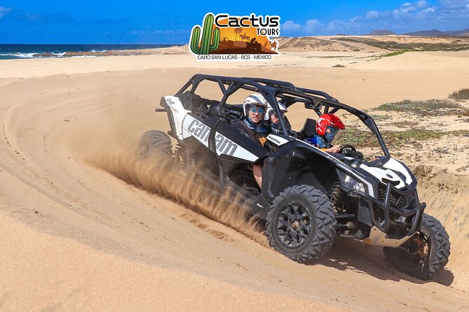 Beach UTV Adventure with Free Camel & Horseback Ride - UTV Ride Through Dunes and Scenic Trails in Cabo San Lucas