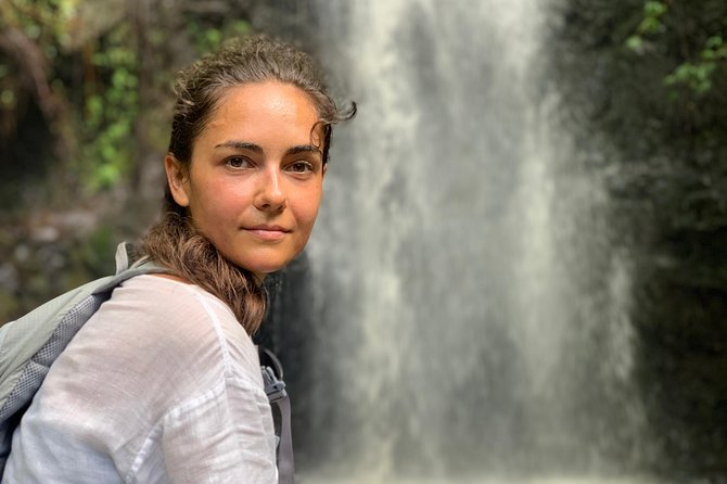 Beaches, Food & Aloha: Private Oahu Tour - Key Points