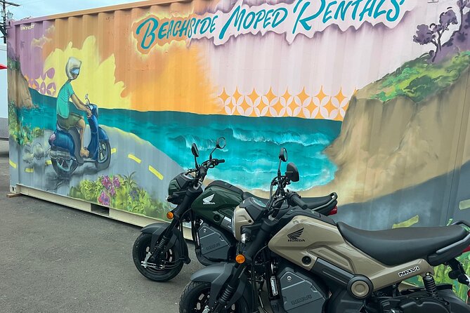 Beachside Moped Rentals - Exploring Beaches Like La Jolla, Pacific Beach, and Oceanside