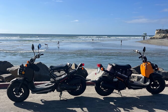 Beachside Moped Rentals - Group Size and Booking Details