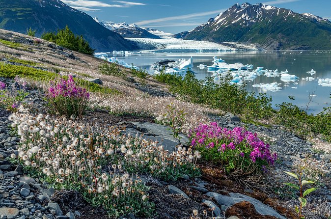 Bear Glacier Helicopter Tour with Landing - Landing at Bear Glacier Lagoon and On-Foot Exploration