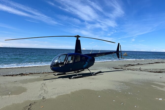 Bear Glacier Helicopter Tour with Landing - Weather Conditions and Cancellation Policy