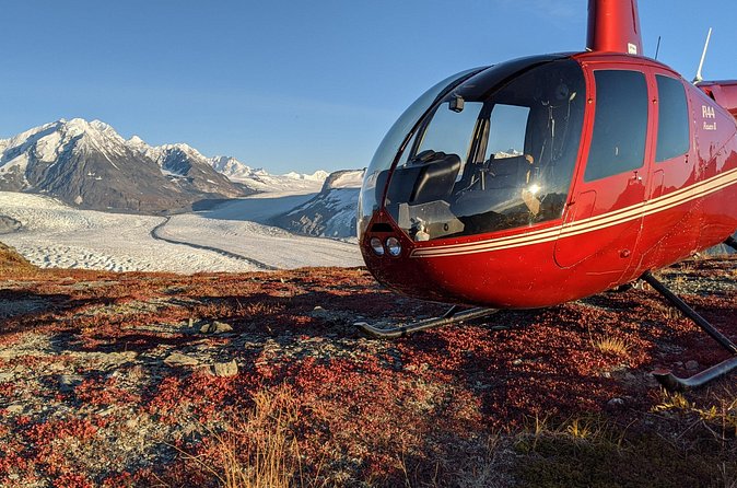 Bear Glacier Helicopter Tour with Landing - The Experience Provider: Alaska Helicopter Tours