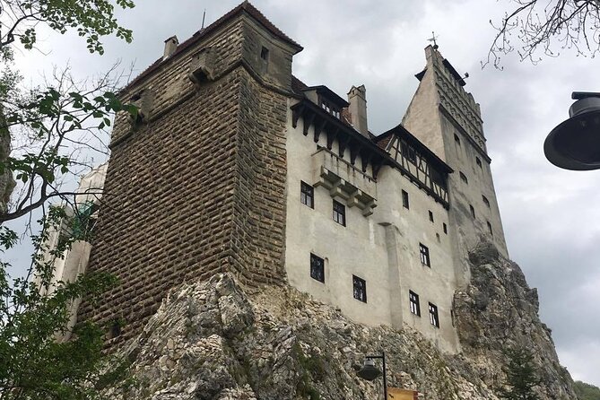 Bear Sanctuary and Bran Castle from Brasov - The Pacing and Timing of the Tour