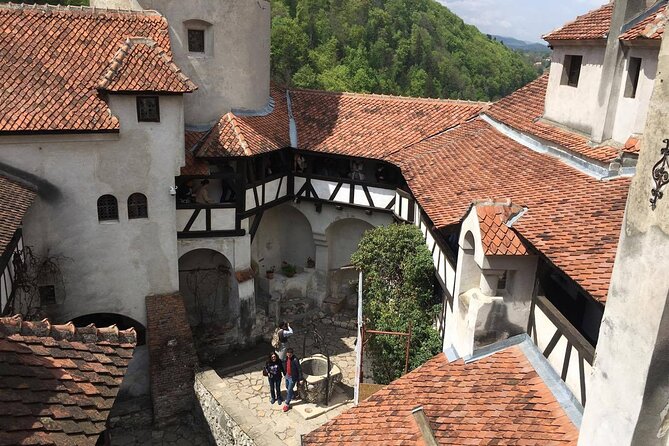 Bear Sanctuary and Bran Castle from Brasov - The Guide’s Expertise and Customer Service