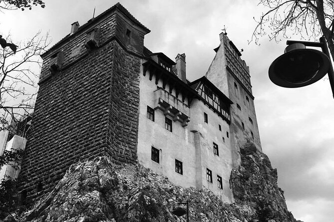 Bear Sanctuary and Bran Castle from Brasov - Who Will Enjoy This Tour the Most