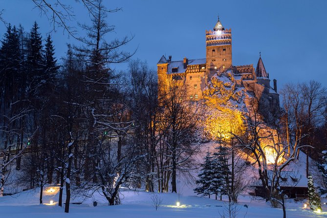 Bear Sanctuary and Bran Castle with a Professional Licensed GuideDay Trip - Key Points