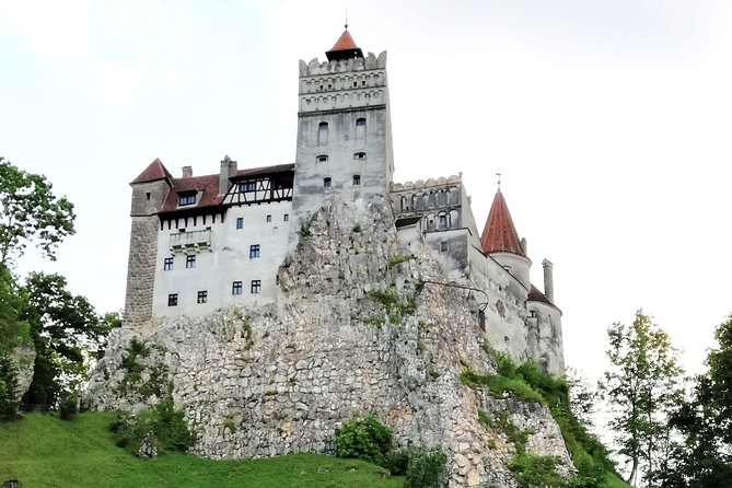 Bear Sanctuary and Dracula's Castle, 1-day Private Tour - Practical Tips for Participants