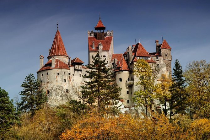 Bear Sanctuary, Bran (Dracula) Castle, Peles Castle From Brasov - Pickup and Transportation in Brasov